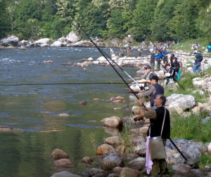 Pesca sportiva GENERICA