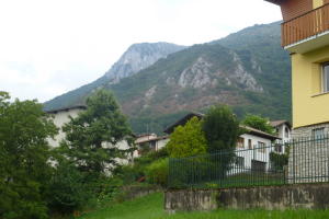 BOSCO 'BRUCIATO' LUGLIO (7)