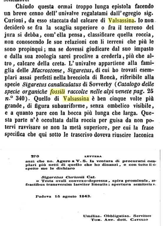 catullo