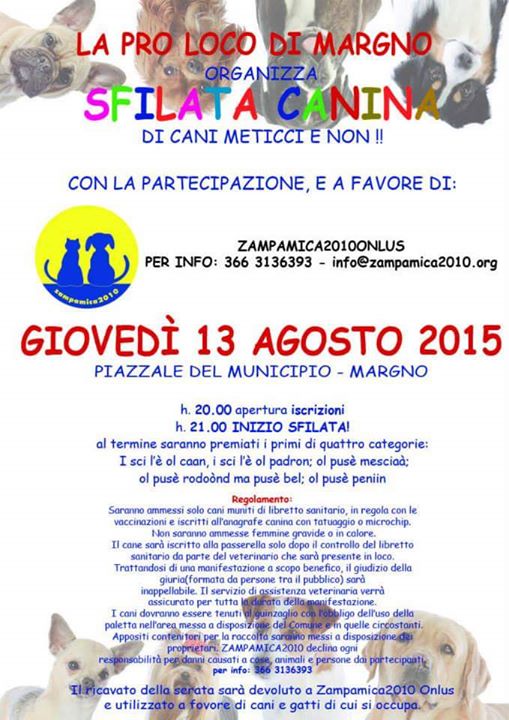 margno sfilata cani