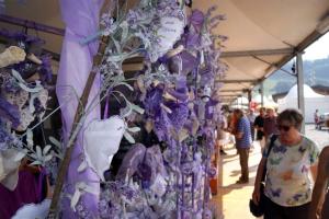 sagra2015 (56)