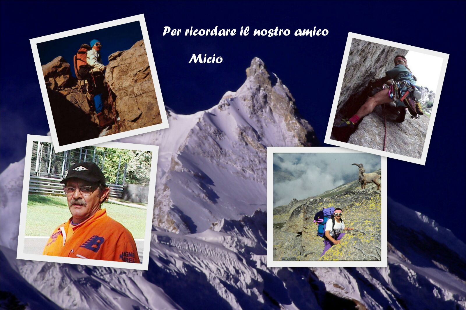 MICIO COLLAGE