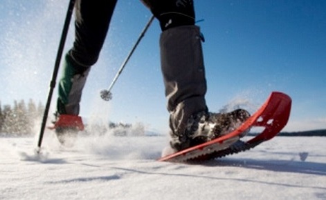 Risultati immagini per ciaspole neve