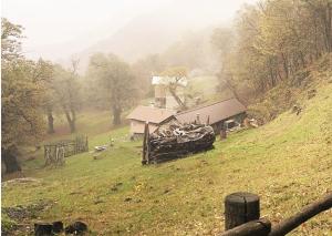 Qui dovrebbe essere Perdonasco