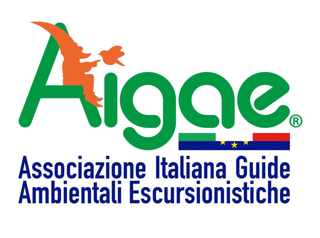 AIGAE_LOGO_social