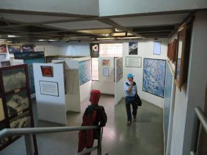 EXPEDITION MUSEO