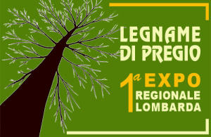 logo-Legname-di-Pregio-8-EXPO-500