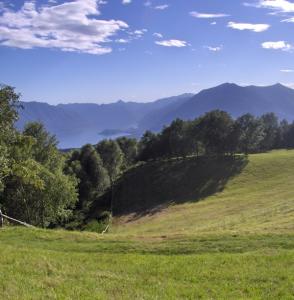 ALPE TEDOLDO