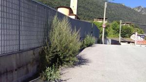 CORTE PONTE 1