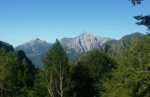 VAL BIANDINO PULIZIA SENTIERI (4)