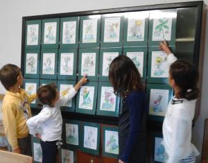 fiori mostra