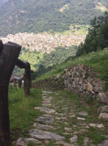 giir sentieri puliti