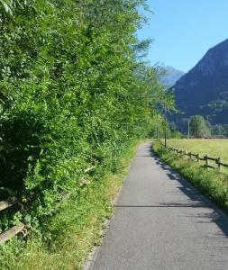 CICLABILE ERBACCE (1)