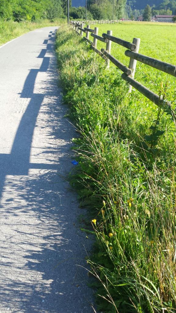 CICLABILE ERBACCE (5)