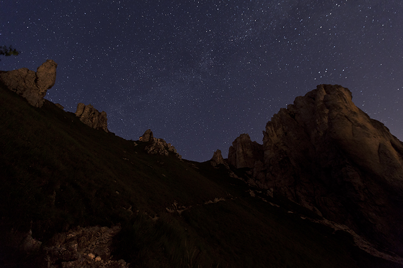 Mare di stelle all'inizio del sentiero delle Foppe poco sotto il Rifugio Rosalba