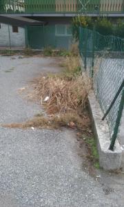 ballabio erbacce e immondizia (1)
