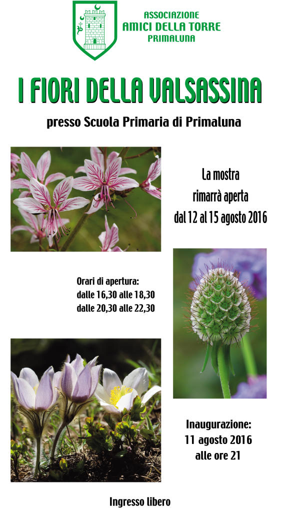 locandina 2016_Layout 1
