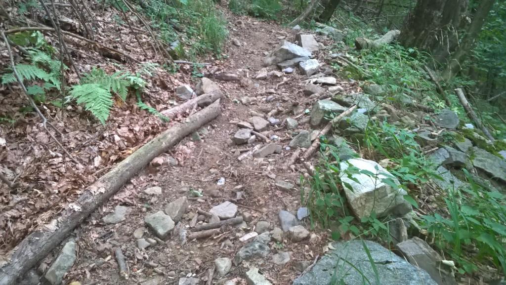 parco-grigna-sicurezza-in-montagna-3