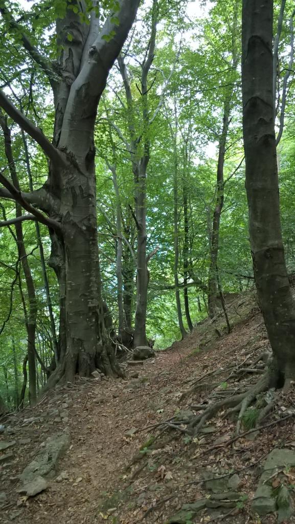 parco-grigna-sicurezza-in-montagna-8