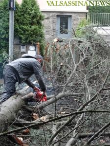 uragano-pianta-caduta-via-roma-barzio-1