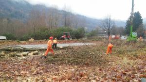 pc-bindo-taglio-alberi-cortenova-2