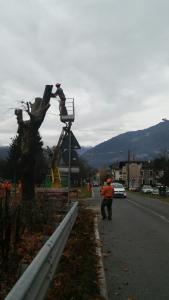 pc-bindo-taglio-alberi-cortenova-3