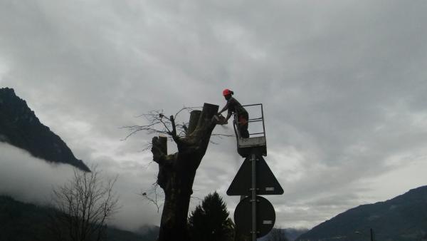 pc-bindo-taglio-alberi-cortenova-4