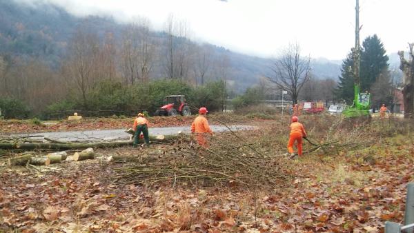 pc-bindo-taglio-alberi-cortenova-7