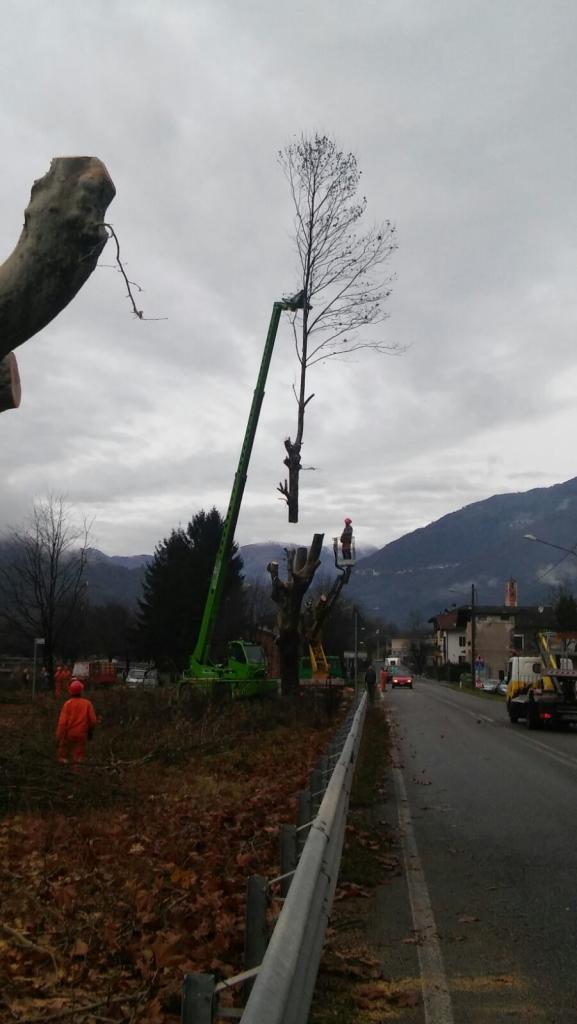 pc-bindo-taglio-alberi-cortenova-8