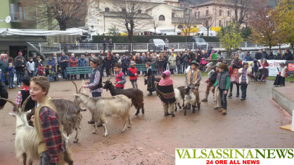 capra-orobica-casargo-10