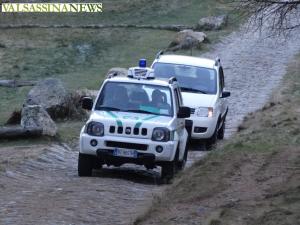 cervi-betulle-polizia-provinciale-freccia-45-6