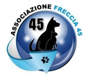 freccia-45