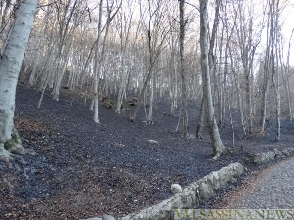 incendio-concenedo-spento-02