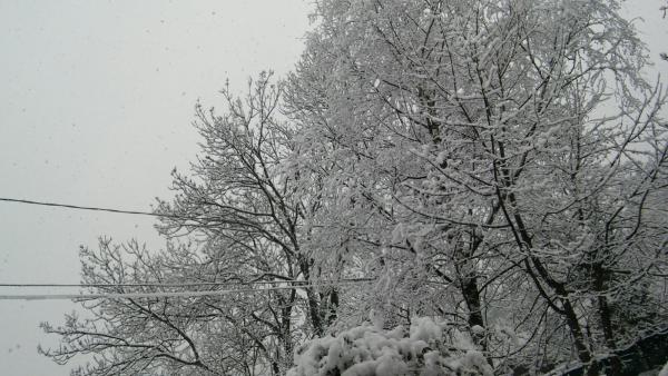 NEVE 10022017 Sotto la Grigna