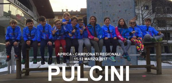 PULCINI sci premana