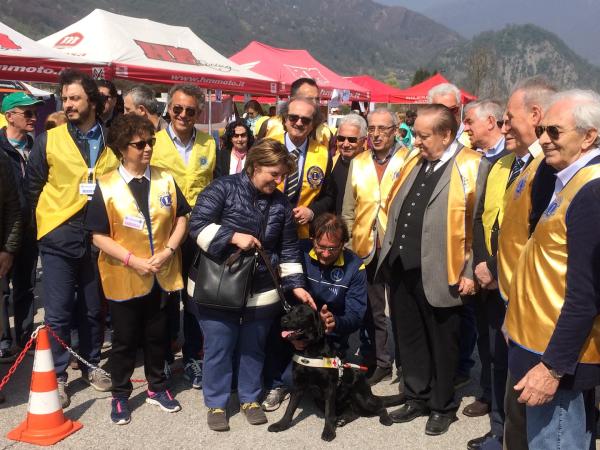 donazione cane-guida lions