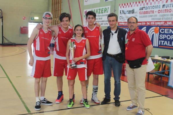 tvt basket (22)