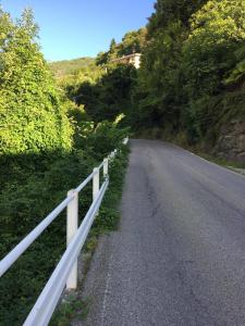 CASARGO NARRO STRADA piante2