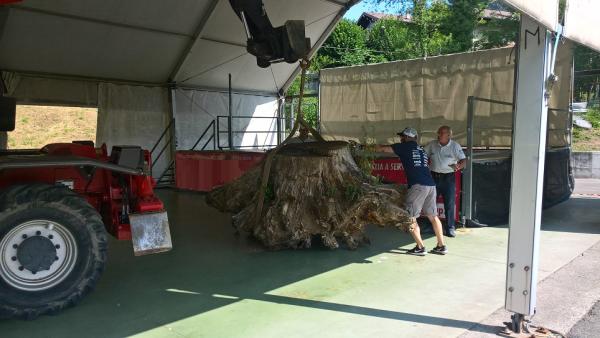TRIAL BARZIO ALLESTIMENTO (3)