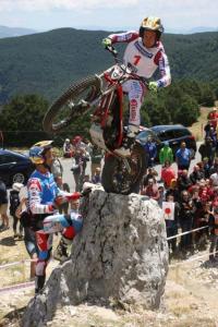 grattarola terminillo (1)
