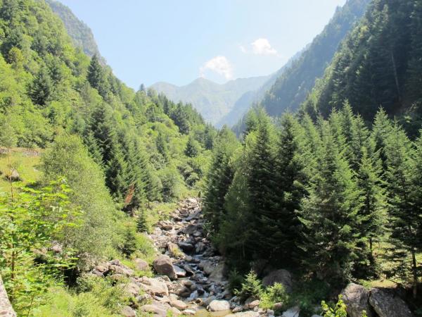 fraina senz acqua1