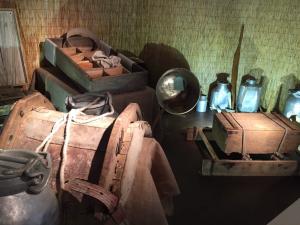 mostra formaggi (8)