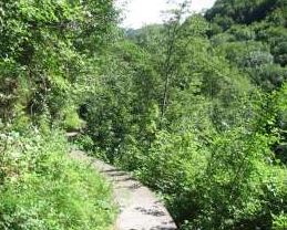 canale guzzi 4
