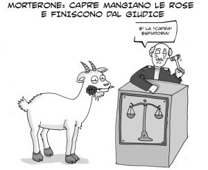 vignetta-capra4