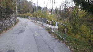 VIA CANTELIBERTO RIAPERTA