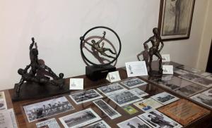 mostra todeschini villa migliavacca (4)