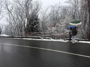 SP 67 DIR Margno Crandola feb2018 (4)