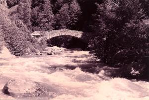 PONT BONOM VECCHIA MOLTA ACQUA